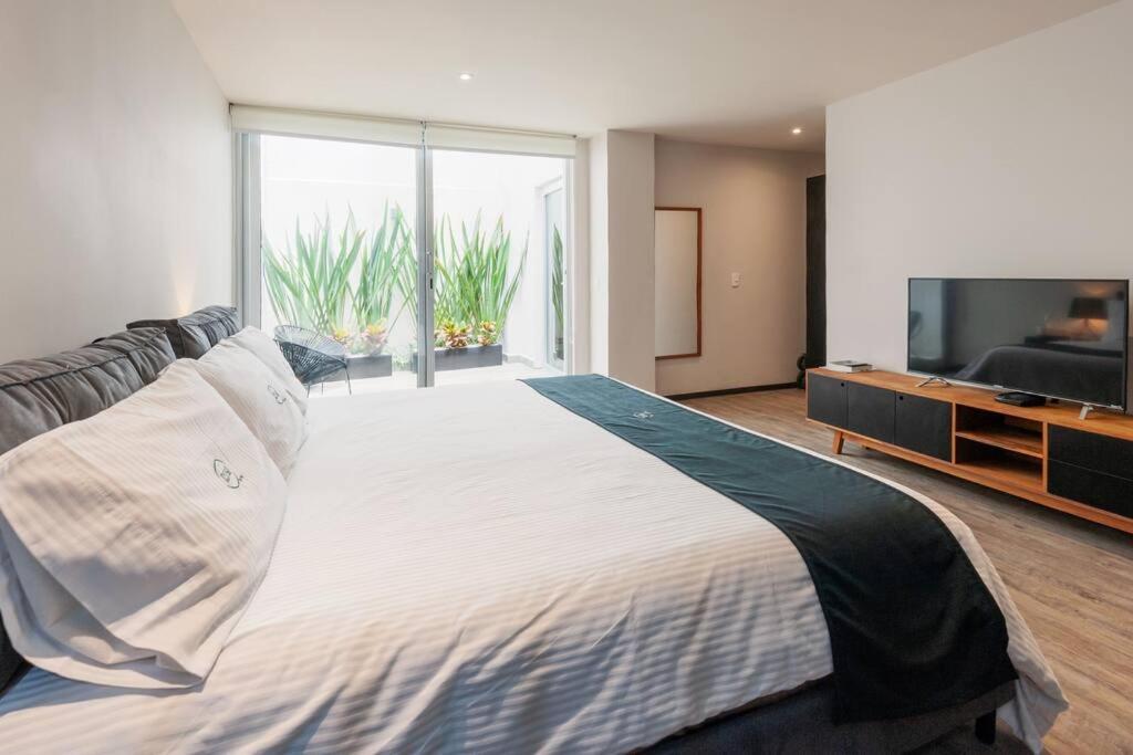 Super Loft Corazon Polanco